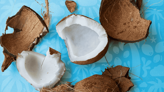 World Coconut Day: Celebrating the Coconut, Coco Cubes Style